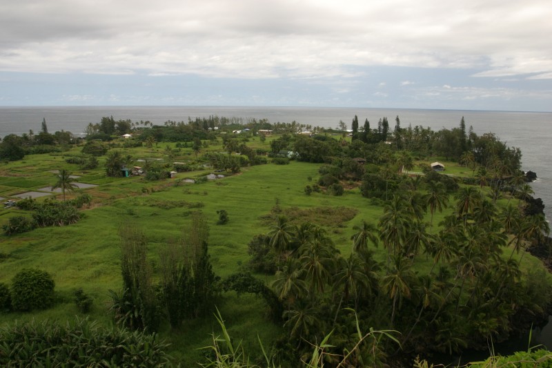 20040318-105028.jpg