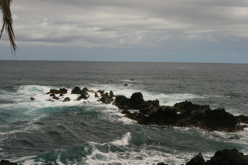 20040318-121624.jpg