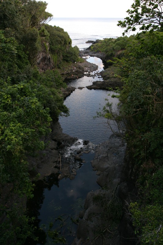 20040318-174731.jpg