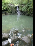 20040318-100444.jpg