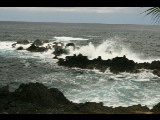 20040318-121926.jpg