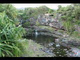 20040318-174212.jpg