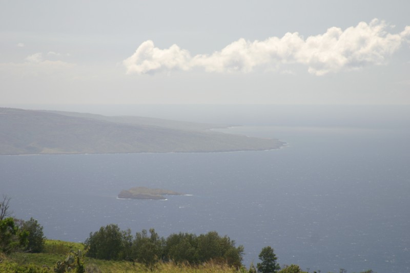 20040320-142939.jpg