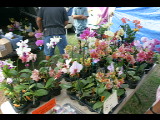 20040320-093715.jpg