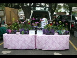 20040320-094145.jpg