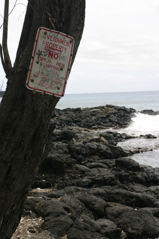 20040321-125924.jpg