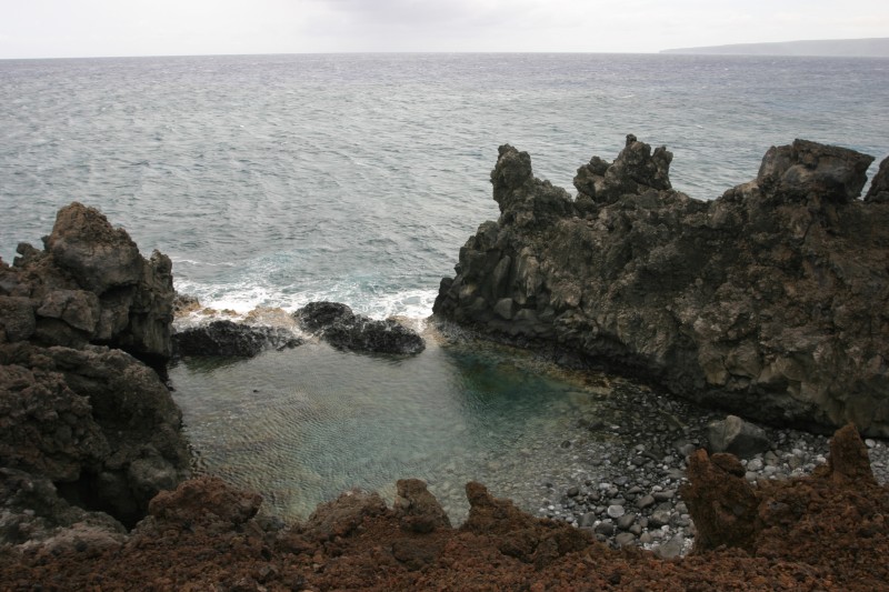 20040321-140112.jpg