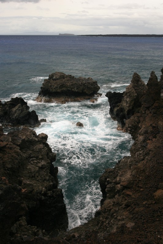 20040321-141311.jpg