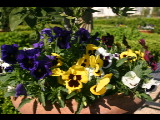 20040410-162709.jpg