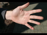 20040410-171539.jpg
