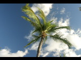 20040917-173826.jpg