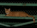 20040917-210153.jpg