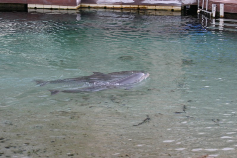 20040919-181708.jpg
