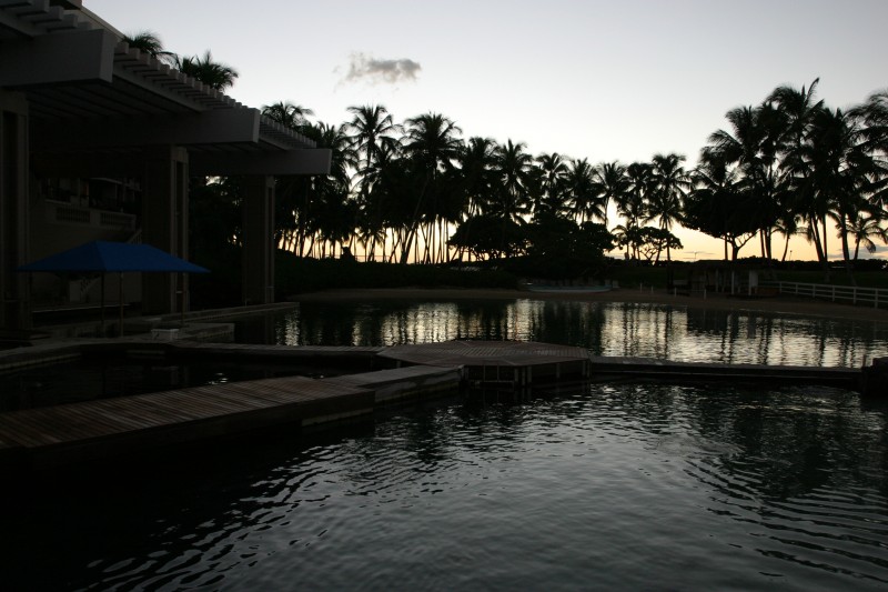 20040919-183115.jpg
