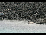 20040919-132022.jpg