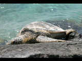 20040919-132536.jpg