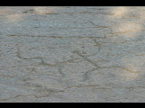 20040919-164320.jpg