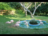 20040919-174250.jpg