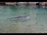 20040919-181708.jpg
