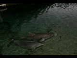 20040919-182941.jpg
