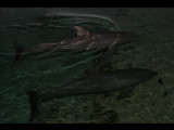 20040919-183251.jpg