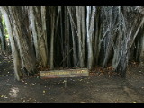 20040923-094942.jpg