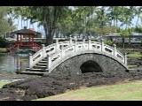 20040923-102559.jpg