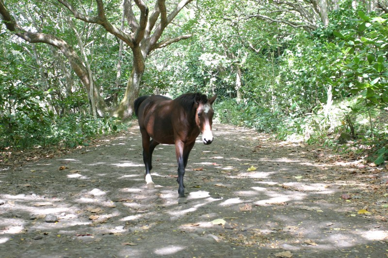 20040924-143512.jpg
