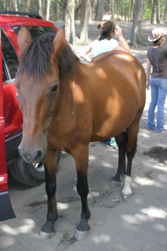 20040924-144733.jpg