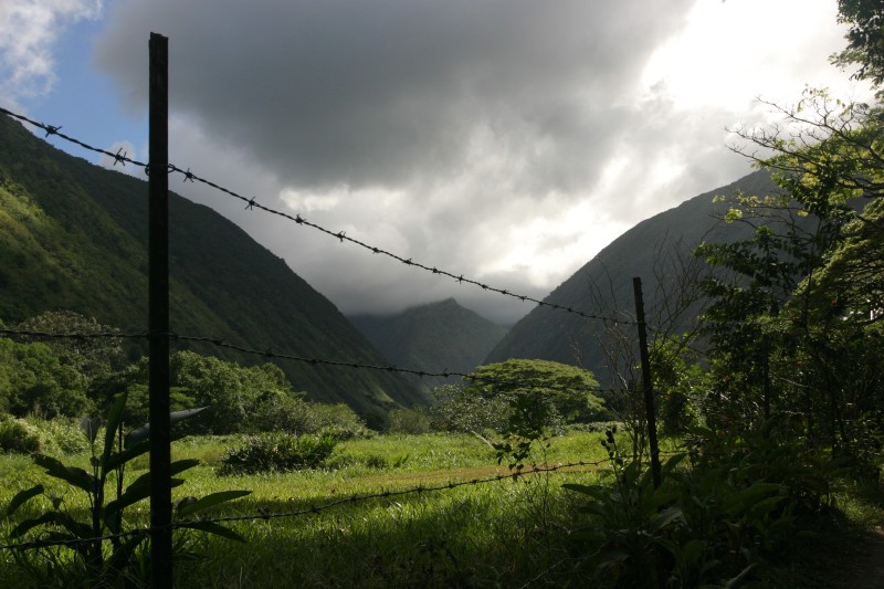 20040924-151857.jpg