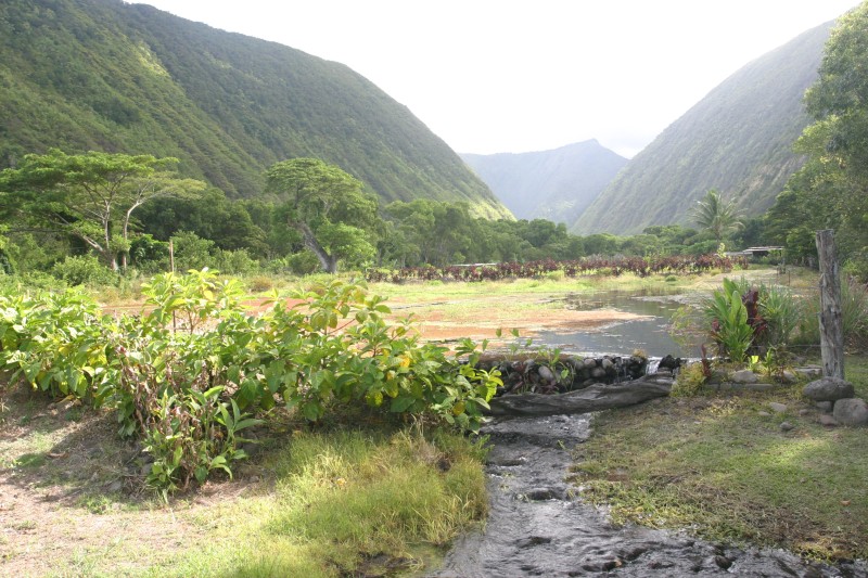 20040924-153635.jpg