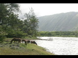 20040924-145434.jpg