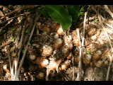 20040925-162718.jpg
