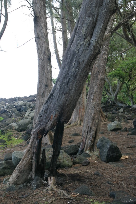 20040927-142308.jpg