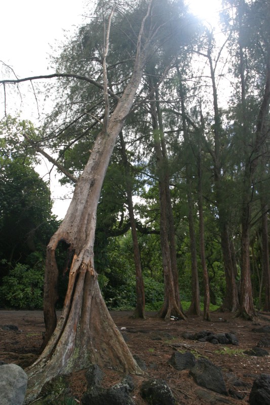 20040927-142417.jpg