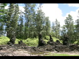 20040927-122611.jpg
