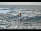 20040927-175347.jpg