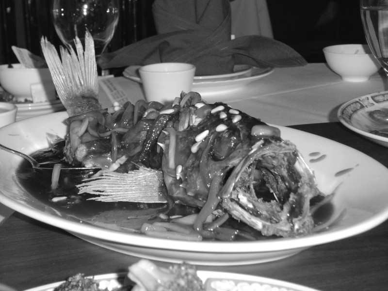 DSC00789.JPG