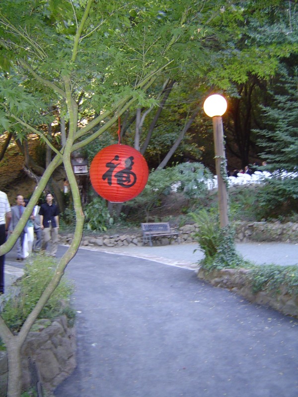 DSC00856.JPG
