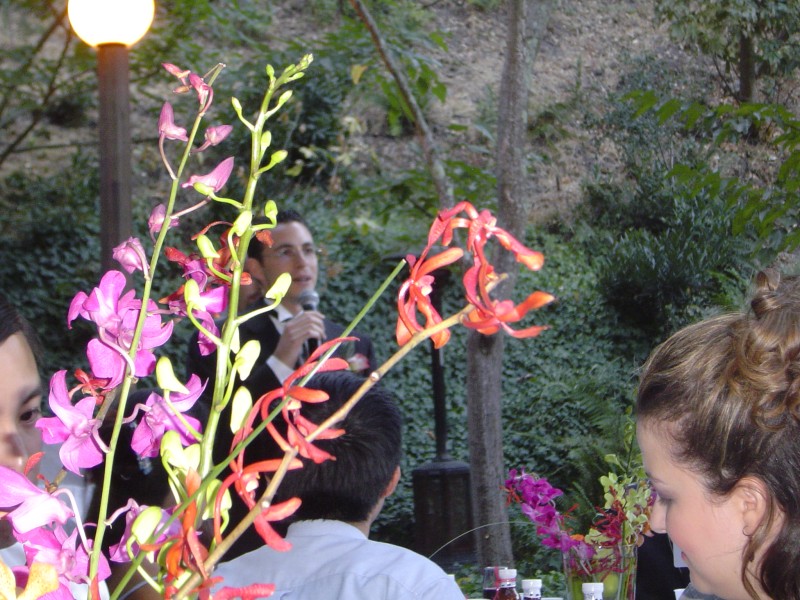 DSC00866.JPG