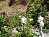 DSC00803.JPG