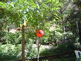 DSC00809.JPG