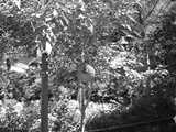DSC00810.JPG