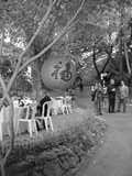 DSC00857.JPG