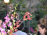 DSC00866.JPG