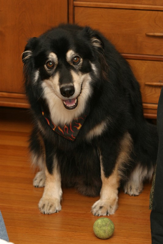 20041023-234844.jpg