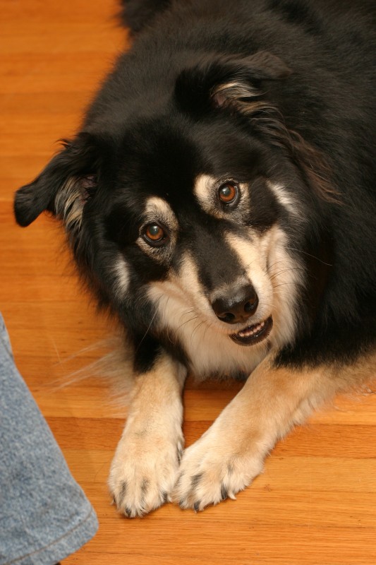 20041023-234949.jpg