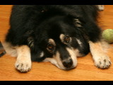 20041023-235352.jpg