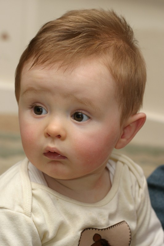 20050409-163314.jpg