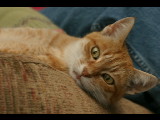 20050409-174224.jpg
